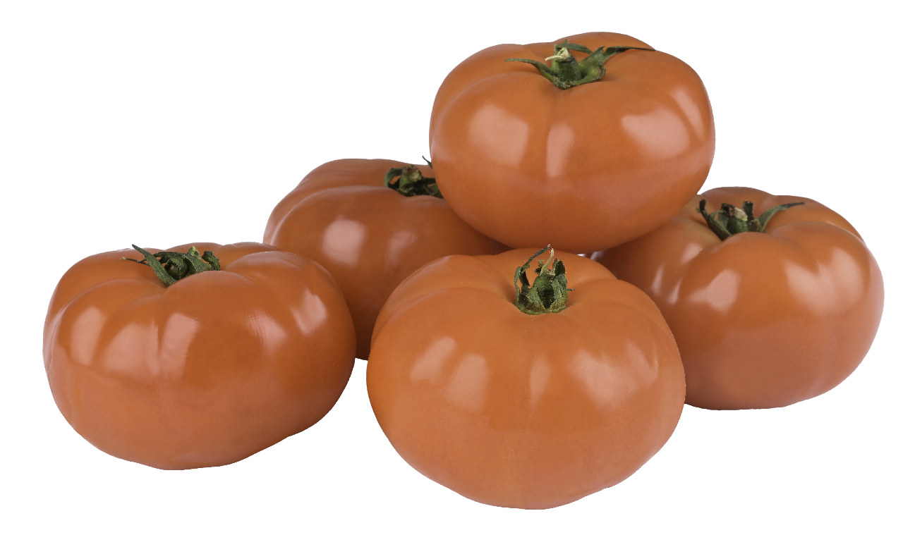 Tomaat Vlees Baron ca. 1 kg
