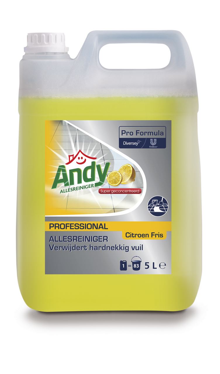 Andy Professional Allesreiniger Citroen 5 l