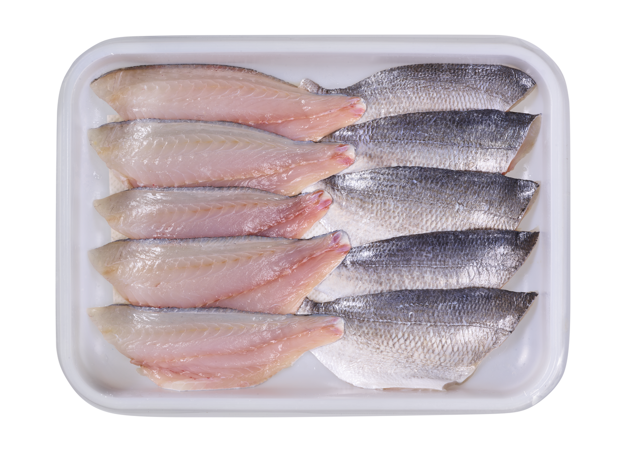 Dorade Filet 10 x ca 100 g