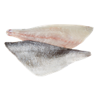 Dorade Filet 10 x ca 100 g
