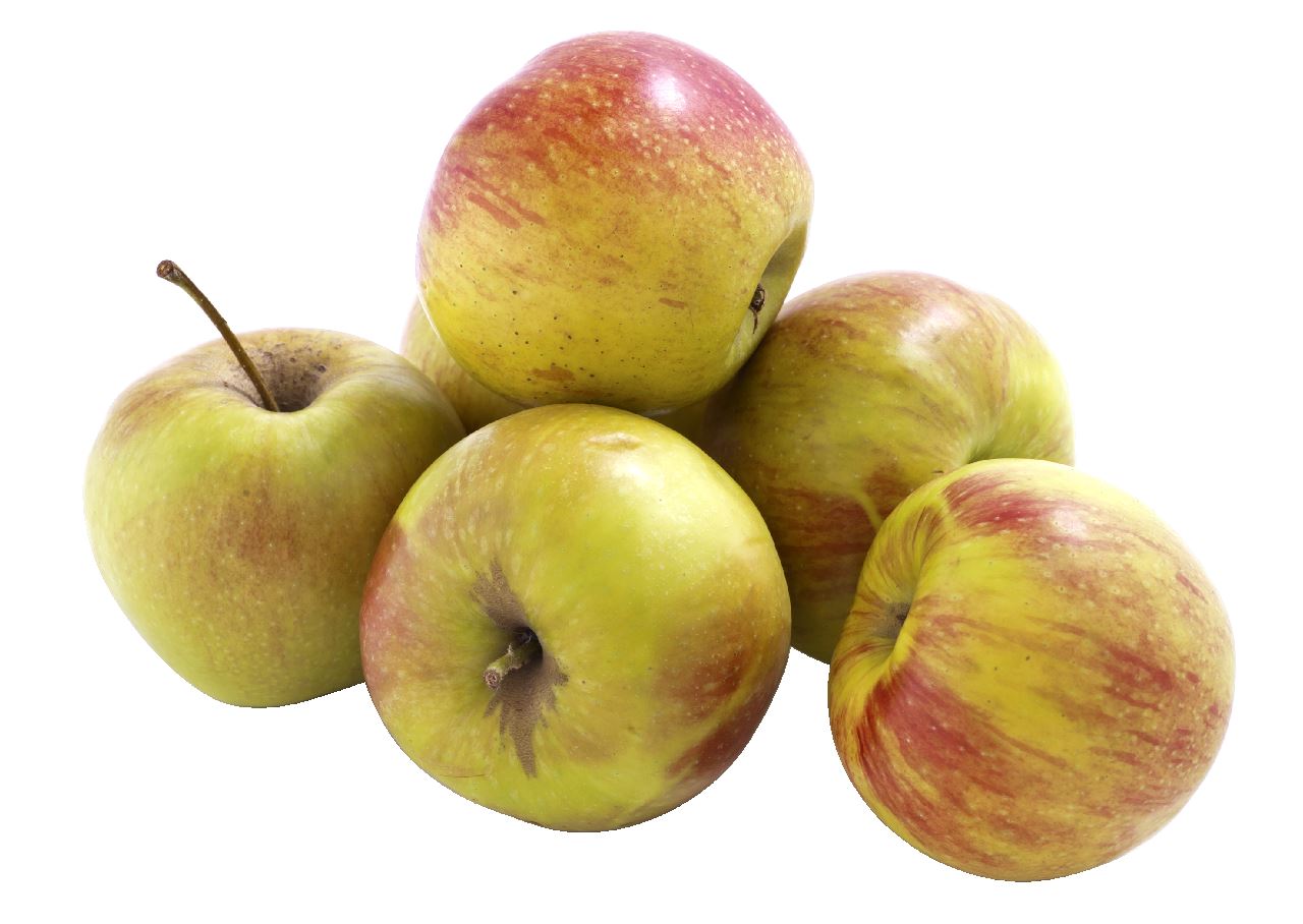Appel Jonagold 80/85 per kg