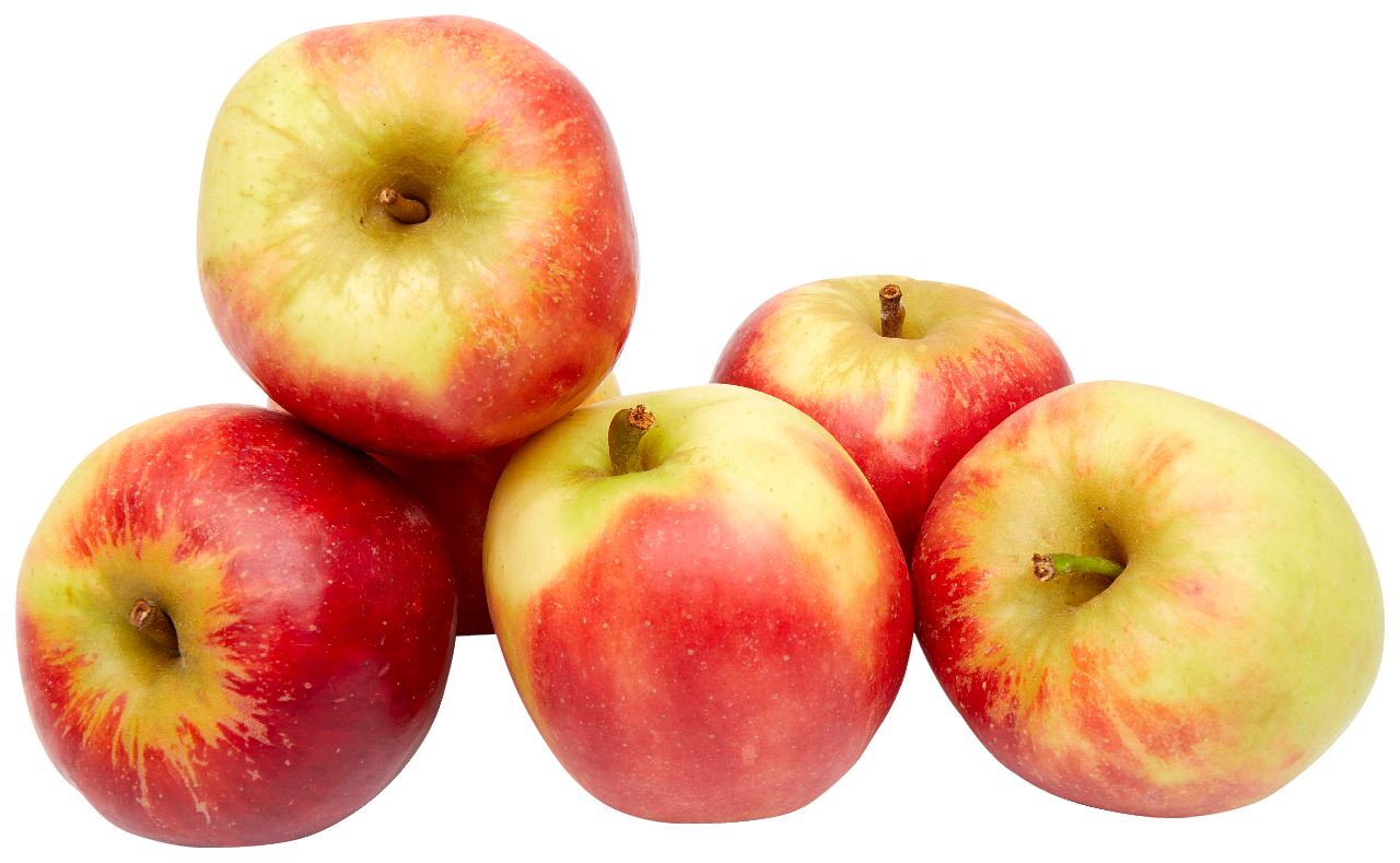 Appel Elstar 80/85 per kg
