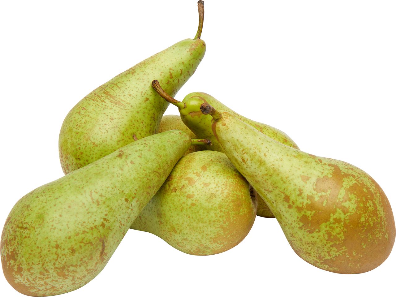 Peren Conference 70/85 per kg