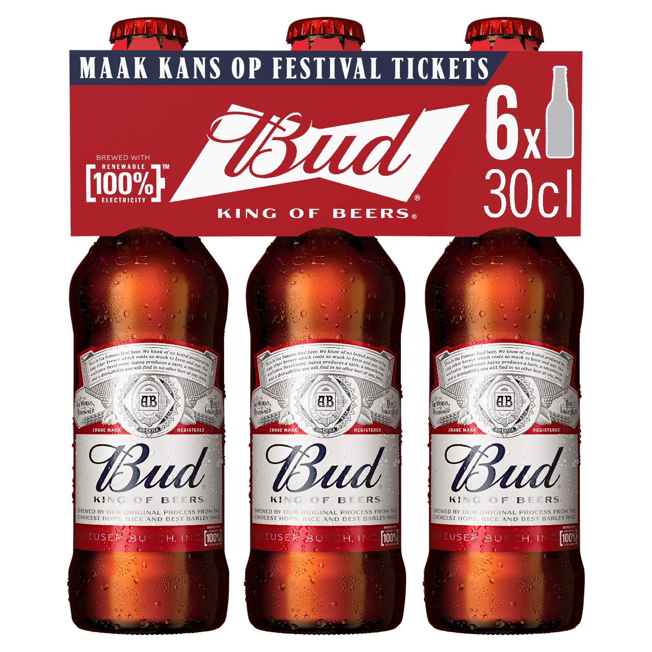 BUD Fles 24 x 30 cl