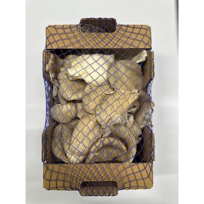 Cogumelos Pleurotus METRO Chef 1kg