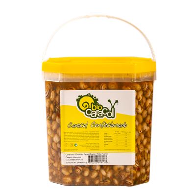 Caracol Branco Cozido 5L