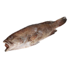 BRASMAR Garoupa com Cabeça sem Visceras