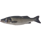 METRO Chef Robalo AQ/IMP 400/500g