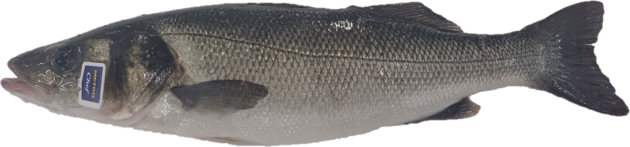 METRO Chef Robalo AQ/IMP 800g/1kg