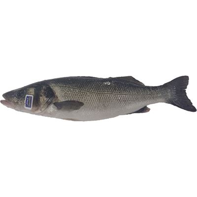 Robalo Inteiro METRO Chef Aquacultura 1-1,5 kg