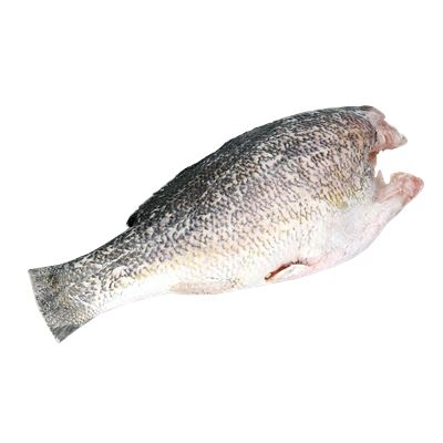 Perca do Nilo Congelada Filete sem Pele e sem Espinhas 1/3 kg
