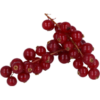 METRO Chef Groselha Categoria I 125g