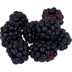 METRO Chef Amora Categoria I 125g