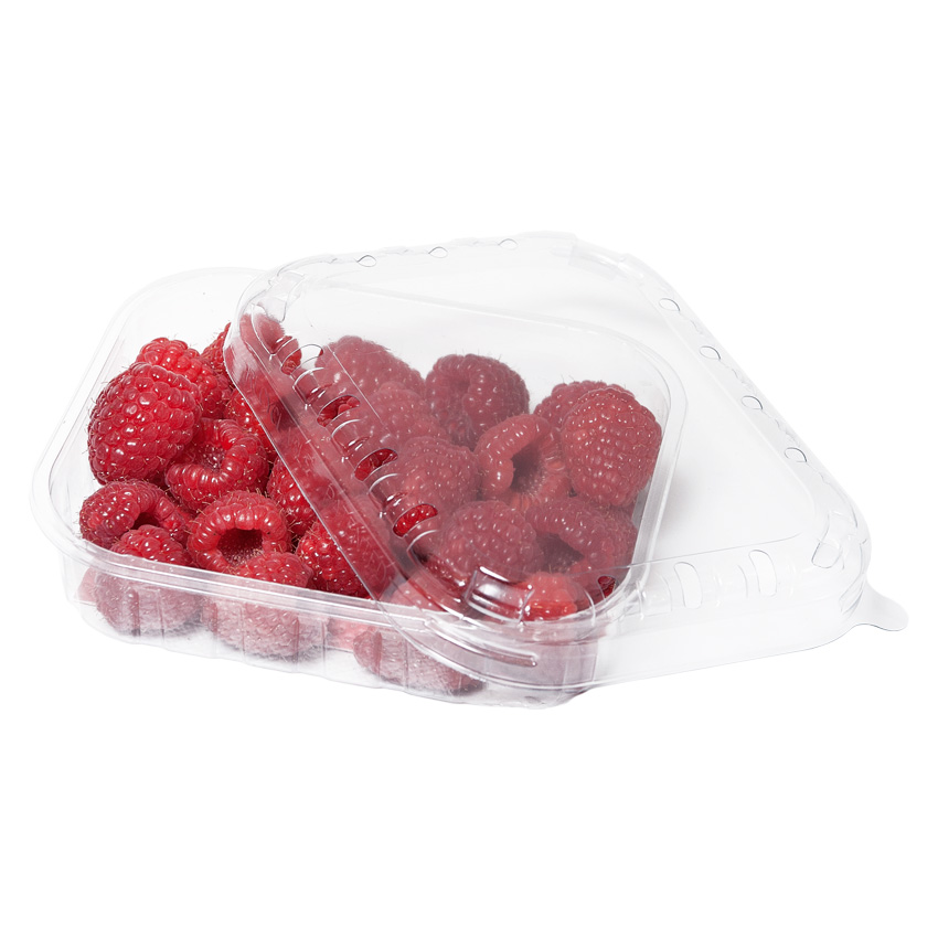 METRO Chef Framboesa Categoria I 250g