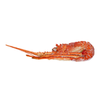PESCANOVA Lagosta Cozida Cuba 740/860G