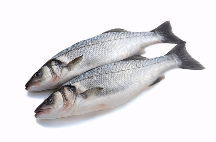 METRO Chef Robalo Aquicultura Especial 1.8/2.6kg