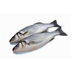 METRO Chef Robalo AQ/IMP 300/400g Amanhado