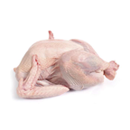 AVIPRONTO Saco Perua Inteira Com Miudos Calibre 4-5Kg