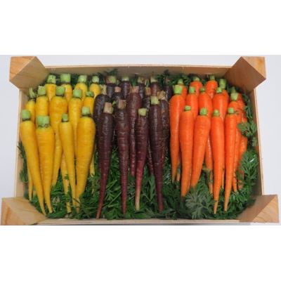 Mini Cenoura Mix 800g