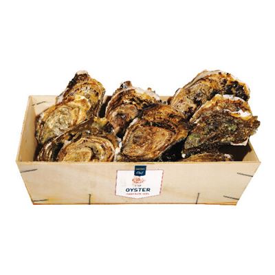 Ostras METRO Chef Fine de Claire Nº3 24un