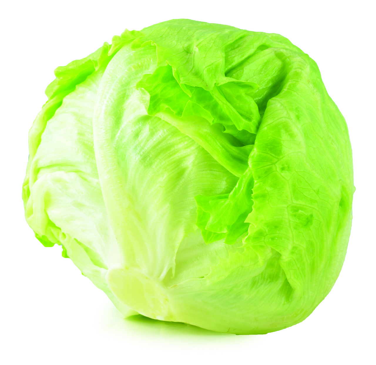 METRO Chef Alface Iceberg Categoria I Calibre 400/600g