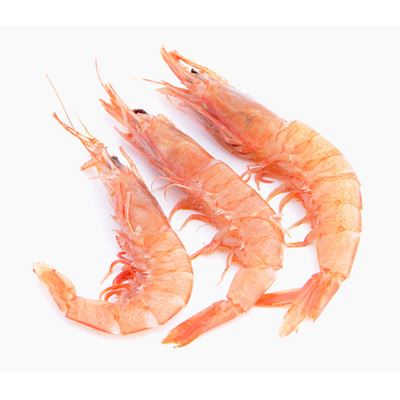 Gamba Branca do Algarve Descabeçada 75/85 1kg