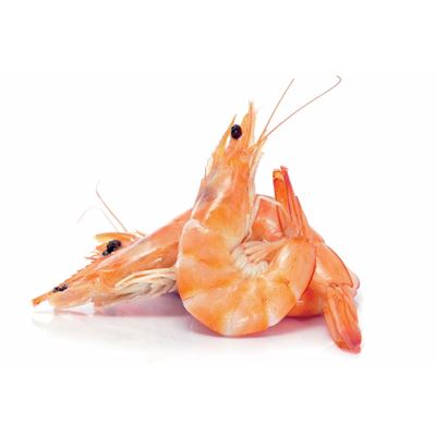 Camarão Vannamei Cozido Refrigerado 40/60 2kg