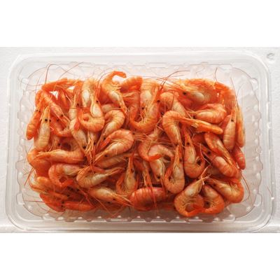 Camarão da Costa Cozido Refrigerado 200/300 500g