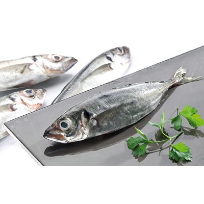 Carapau Fresco T5 20/80g