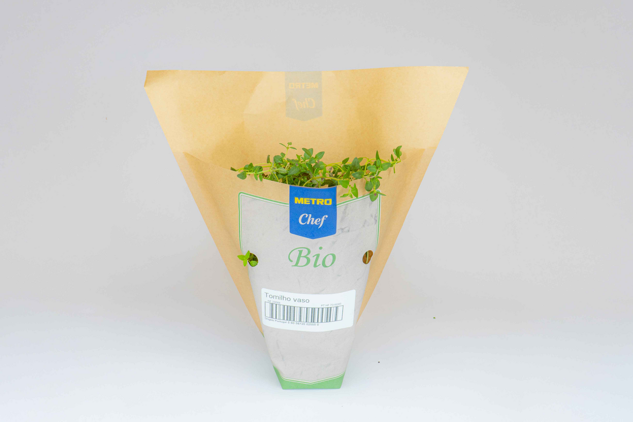 METRO Chef Bio Tomilho em Vaso