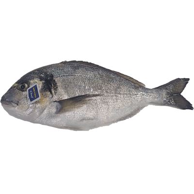 Dourada Inteira de Aquacultura METRO Chef 900g-1,1kg