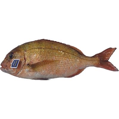 Pargo Inteiro Fresco METRO Chef Aquacultura +1kg