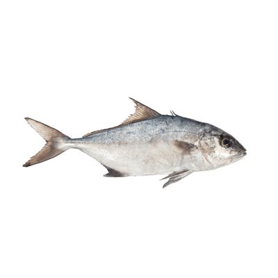 Liro Inteiro Fresco sem Vísceras +3kg