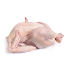 AVIPRONTO Peru Inteiro Saco Comave Congelado