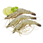 PRIMSTAR Camarão 60/80 Nigéria White CX 2KG