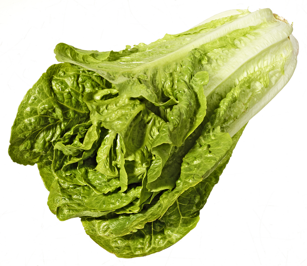 METRO Chef Alface Romana Categoria I Calibre 300/400g