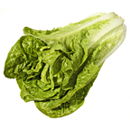 METRO Chef Alface Romana Categoria I Calibre 300/400g