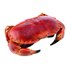 METRO Chef Sapateira Cozida Reino Unido 800/1000g