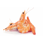 Camarão Vannamei Cozido Refrigerado, Calibre 30/40,Embalado Em Atmosfera Modificada 1kg