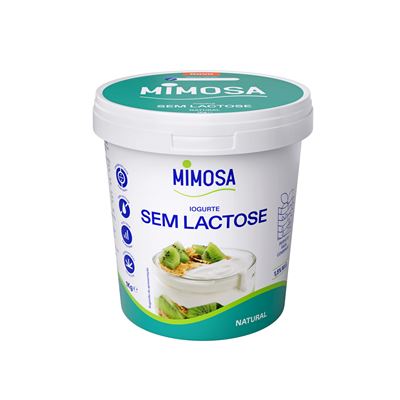 Iogurte Natural sem Lactose Mimosa 1kg