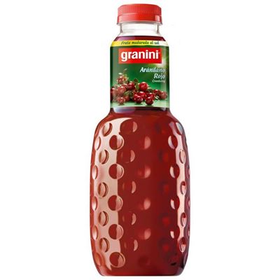 Néctar de Arando Granini 1L