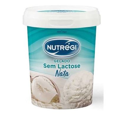 Gelado de Nata sem Lactose Nutregi 500ml