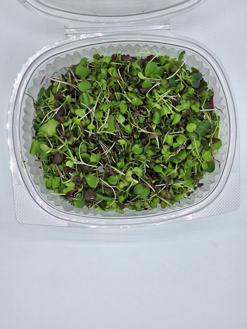 METRO Chef Micro Legumes Mix 125g