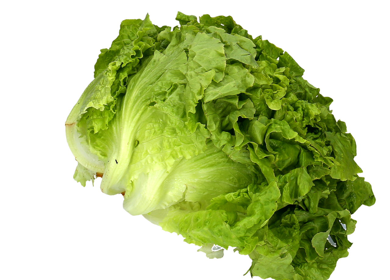 METRO Chef Alface Frisada Categoria I ±0,400g