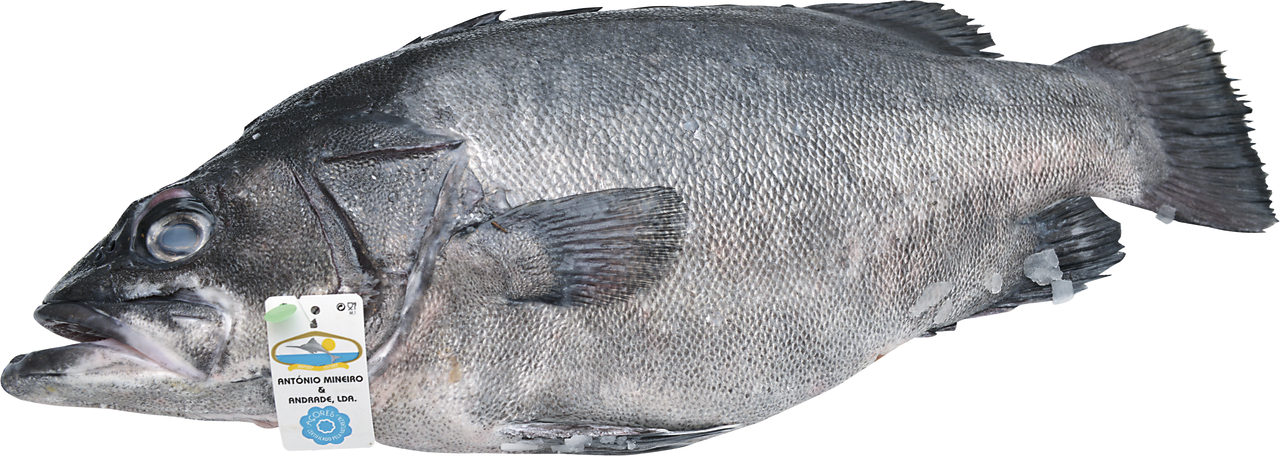 Cherne (wrf) Calibre 5/10 kg