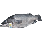 Cherne Nacional 5/10 K-Inteiro-Sem transformacao