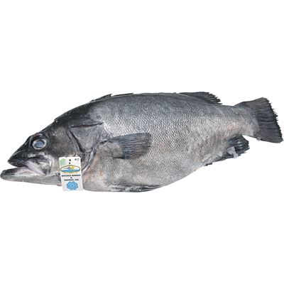 Cherne Inteiro Fresco Calibre 5/10 kg