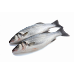 Robalo (BSS), Aquacultura - Esteiro, Nacional, Calibre 500/600GR - Inteiro, sem transformação