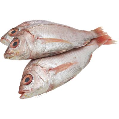 Cachucho Fresco Inteiro