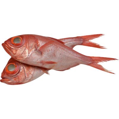 Salongo/Alfoncino Inteiro Fresco 600/1200g